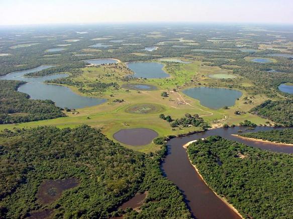 pantanal2